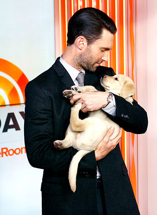 Khối “nam châm” mang tên Adam Levine - 6