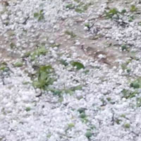 Tin tức trong ngày - Xuất hiện mưa đá tại Điện Biên