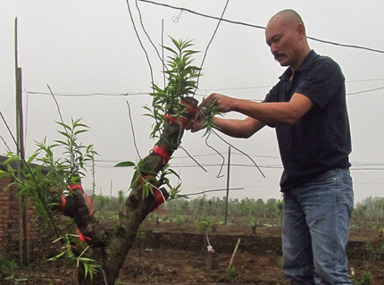 Người đàn ông vớt hàng trăm thi thể ở Hà Nội - 1