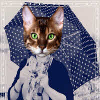 Công nghệ thông tin - Những phần mềm chụp ảnh "tự sướng" đáng dùng