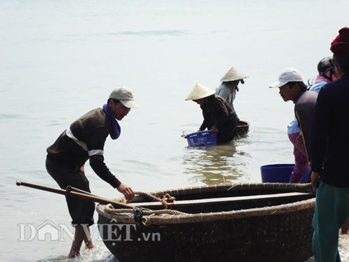 Về Mũi Rồng nơi biển trời mênh mông - 4