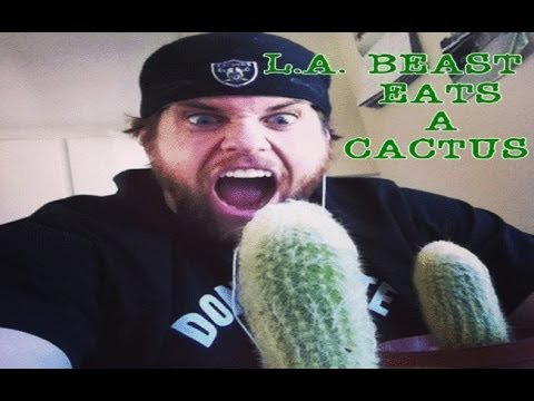 Chàng Tây uống hết 4 lít tương ớt siêu cay - 4