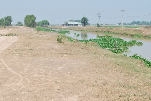 Bị đâm chết khi đang câu cá - 1