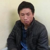 Pháp luật - Kẻ trồng cần sa trong nhà từng là SV ĐH Luật