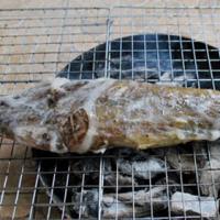 Ẩm thực - Mỡ chài nướng cá chai thơm lừng hấp dẫn