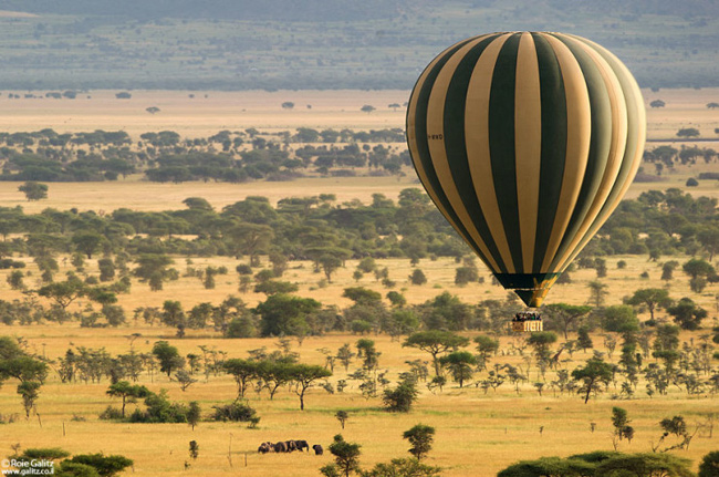 8. Công viên quốc gia Serengeti (Tanzania) là một trong những công viên quốc gia lớn và thú vị nhất cho cuộc hành trình bằng khinh khí cầu.&nbsp;
