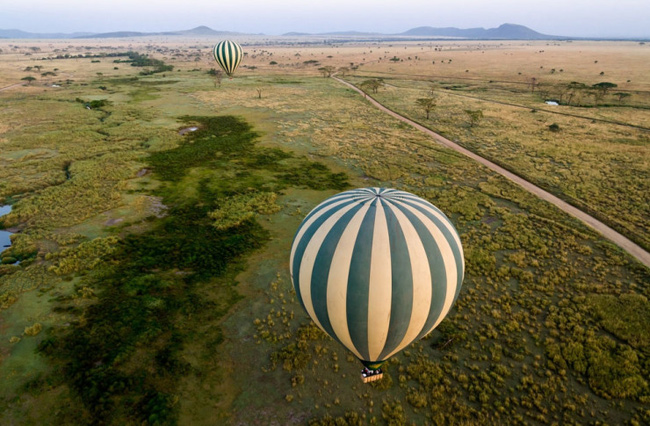 Ngồi trên khinh khí cầu ở Serengeti du khách sẽ được chiêm ngưỡng toàn cảnh những cánh rừng rộng lớn, động vật hoang dã và hòa mình với thiên nhiên.&nbsp;
