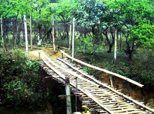 Thơ mộng, bình yên “Ngày 4 mùa” ở Suối Lìn - 9