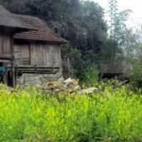 Du lịch - Thơ mộng, bình yên “Ngày 4 mùa” ở Suối Lìn