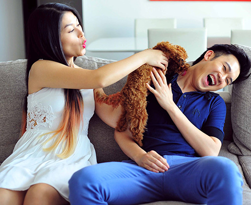 Sao Việt mê cún cưng như con - 3
