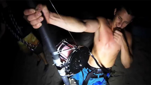 Video: 90 phút chiến đấu với cá mập - 1