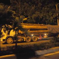 Tin tức trong ngày - "Xe vua" chở gỗ khủng vẫn náo loạn đêm phố núi