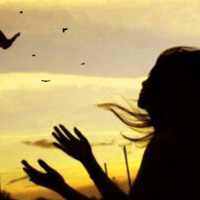 Ca nhạc - MTV - Lắng nghe và cảm nhận: Để gió cuốn đi