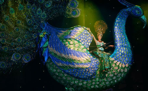 Hoa hậu HIV được cổ vũ nhiệt tình - 5