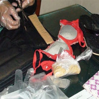 Pháp luật - Bầu ngực quá khổ tố "nữ quái" buôn ma túy