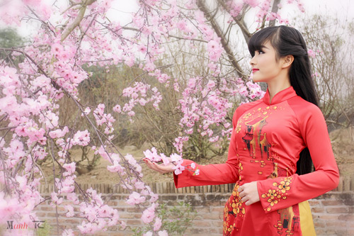 "Crying girl" mộng mơ giữa vườn thượng uyển - 8