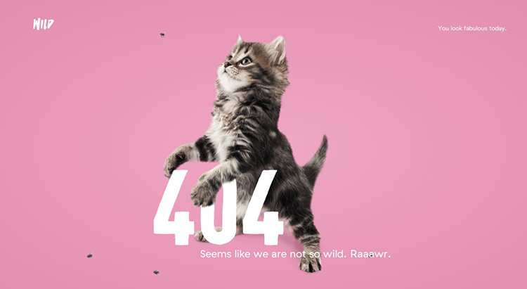 Mèo ngộ nghĩnh bên '404'.

