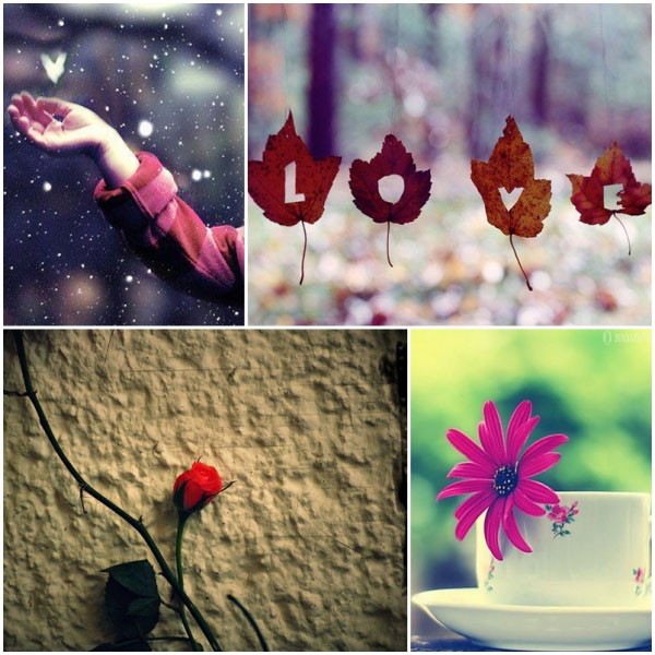 Thơ tình: Mùa yêu thương - 1