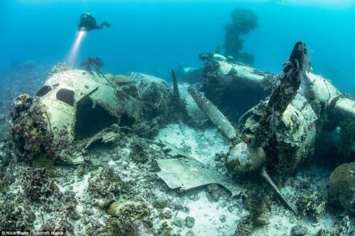 "Nghĩa địa" máy bay khổng lồ dưới đáy biển ở Nhật - 1