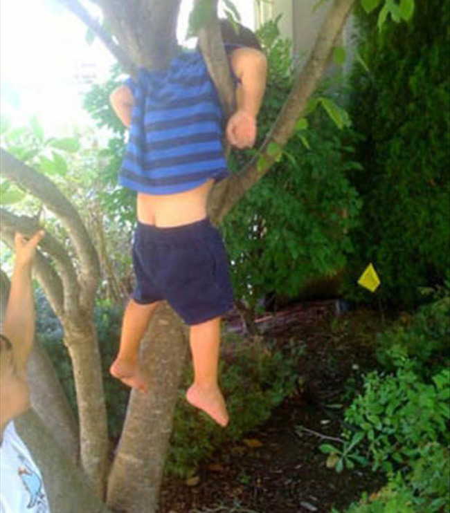 Chú khỉ đang tập leo cây
