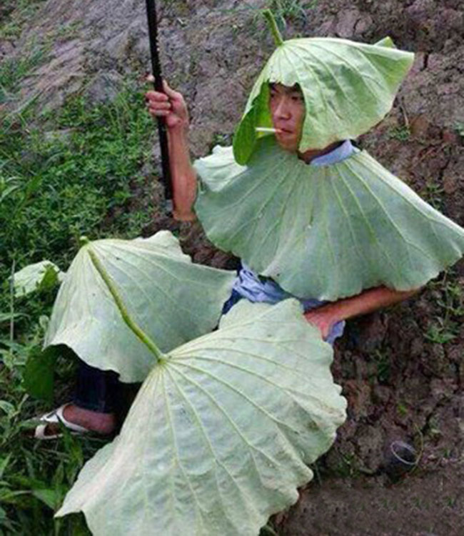 Cười sặc sụa với hành động khó đỡ của các bạn trẻ - 8