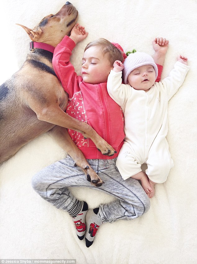 Những tư thế ngủ đáng yêu của hai anh em và chú chó - 1