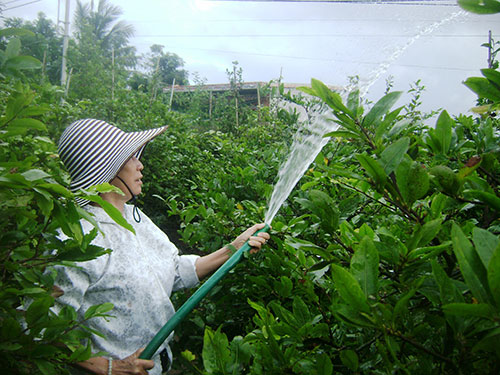 Giáo viên sợ...Tết - 2