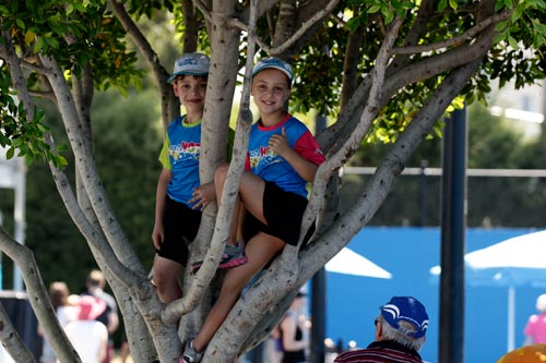 Fan Australian Open vật vã chống nóng - 4