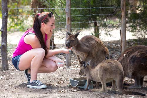 Bên lề Australian Open: Halep đi làm đẹp - 7