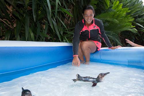 Bên lề Australian Open: Halep đi làm đẹp - 8