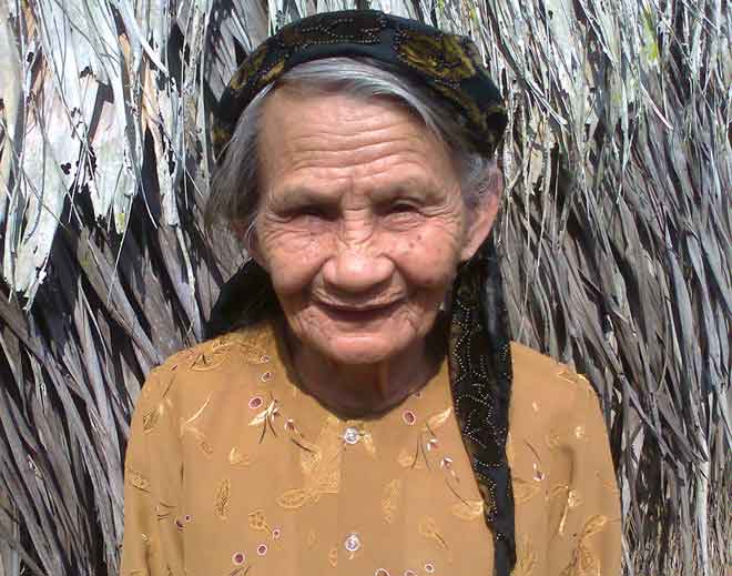 Cụ bà 82 tuổi bị ong đốt hơn 100 nốt vẫn sống - 1