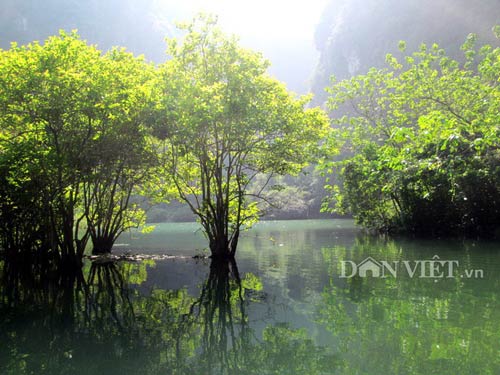 Non nước Tràng An- Di sản văn hoá, thiên nhiên thế giới - 13