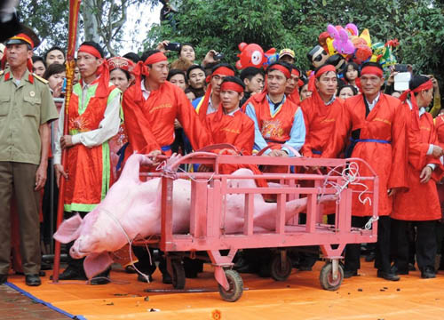 Tổ chức Động vật Châu Á đề nghị bỏ Lễ hội Chém lợn - 1