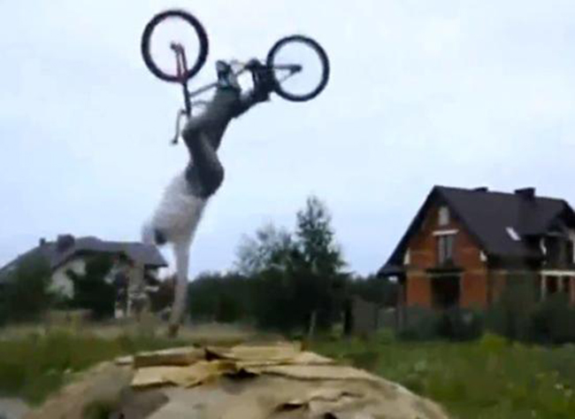 Cười đau bụng  với những pha ngã xe hài hước - 5