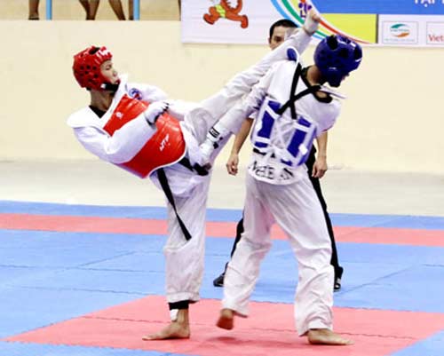 Vụ taekwondo TP HCM cho mượn VĐV: Đầu tháng 2, xử lý dứt điểm - 1