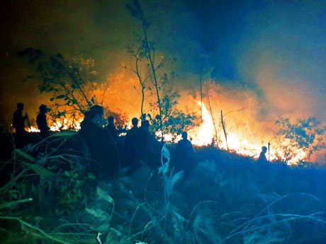 Quảng Ninh: Rừng cháy ngùn ngụt sau trường ĐH Hạ Long - 1