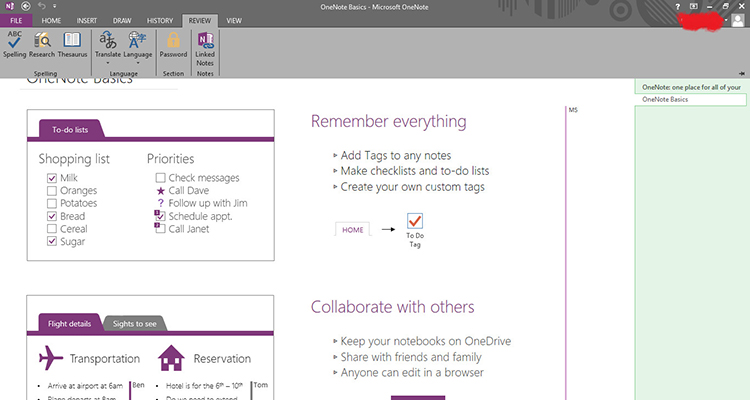 Microsoft Offce OneNote: Thẻ Review
