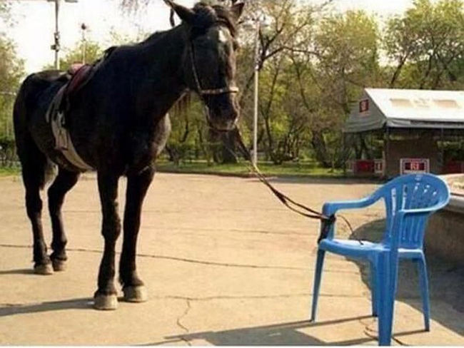 Những khoảnh khắc “hài hước” trong cuộc sống - 9