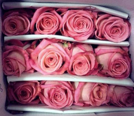 Hoa hồng lạ hút khách ngày Valentine - 5