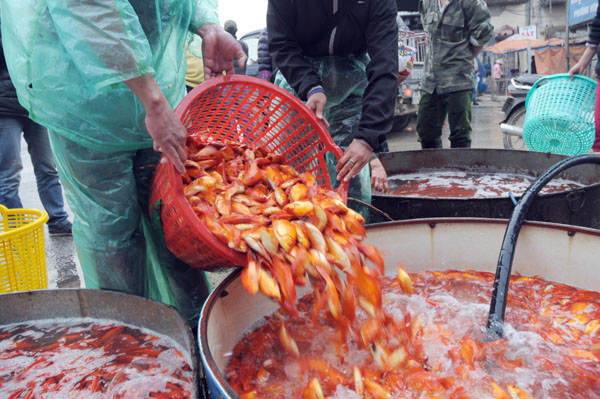 “Phương tiện” của Táo Quân tập kết về chợ cá lớn nhất Thủ đô - 5