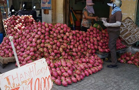 Trái cây Việt bị rẻ rúng ở nước ngoài - 1