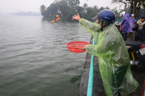 Cá chép bị tóm gọn sau khi được tiễn lên trời - 8