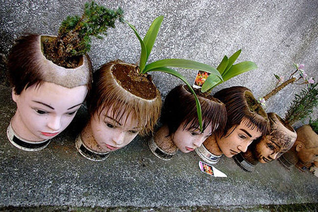 Những chiếc đầu ma-nơ-canh được dùng làm chạu cây cảnh

