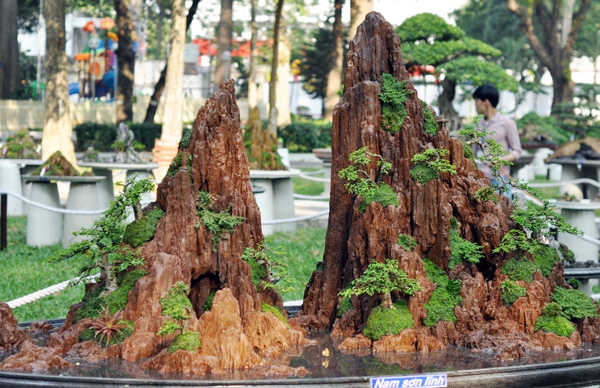 Chiêm ngưỡng những “ngọn núi” giữa trung tâm Sài Gòn - 9