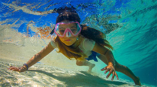 Tình bạn tuyệt vời của những đứa trẻ và cá voi - 5