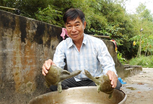 Ông già thành tỉ phú nhờ nuôi ba ba - 1