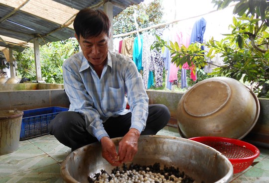 Ông già thành tỉ phú nhờ nuôi ba ba - 2