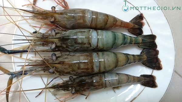 Ảnh phân biệt tôm bơm tạp chất với tôm sạch - 6