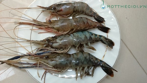 Ảnh phân biệt tôm bơm tạp chất với tôm sạch - 5
