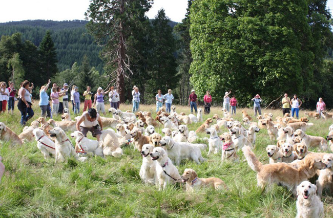 20 lễ hội “lạ đời” nhất thế giới - 6